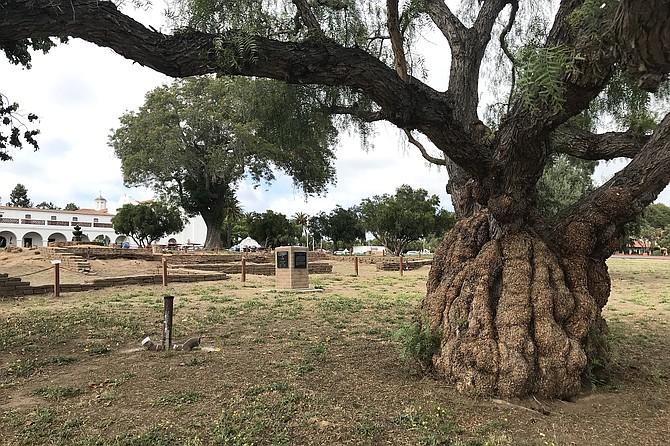 Ancient pepper trees dot the landscape. Archeological remains of Spanish soldiers’ quarters in foreground