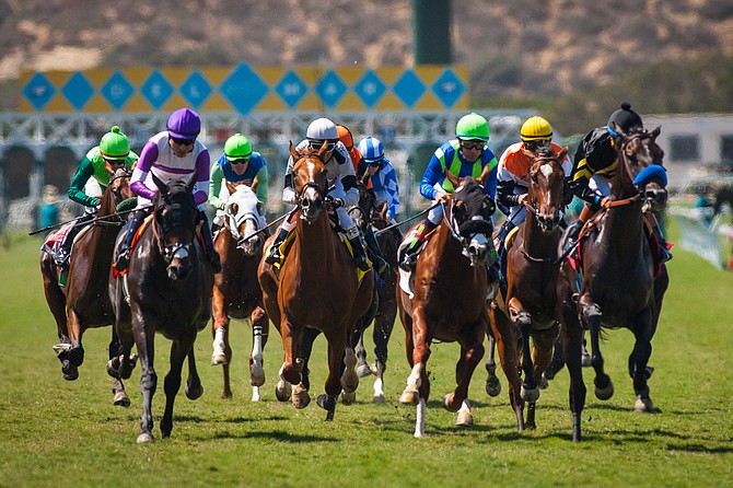 The hubbub over race horse deaths has been a prominent feature of the sport of kings lately.