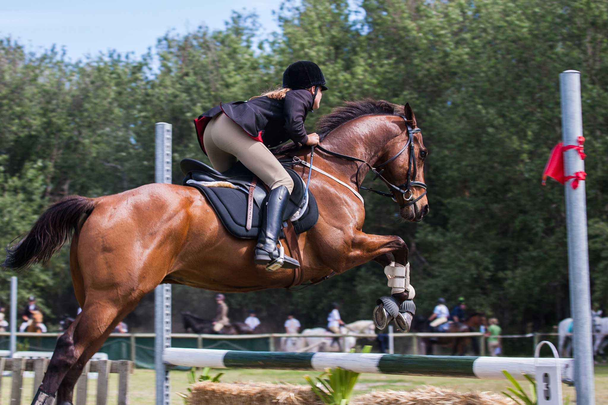 horseback-riding-lessons-in-western-english-and-bareback-san-diego