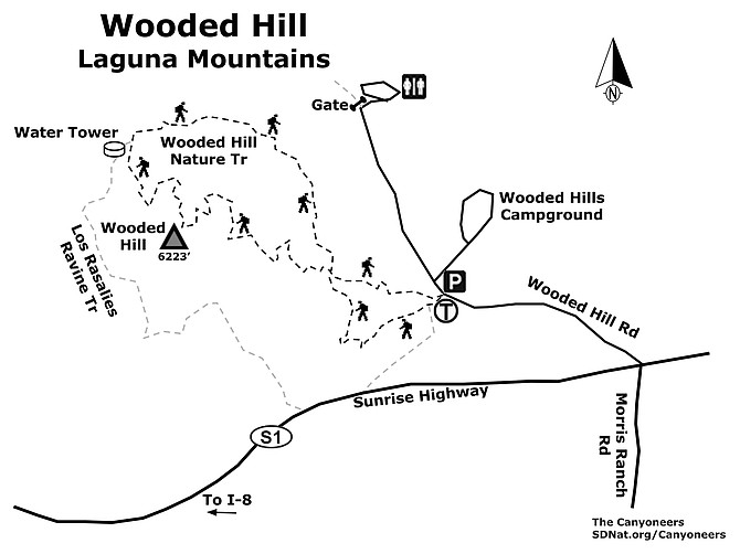 Wooded Hill map