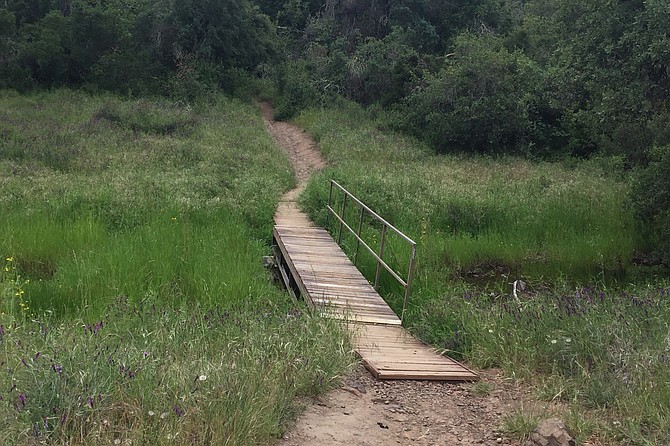 A bridge crossing in a pastoral setting