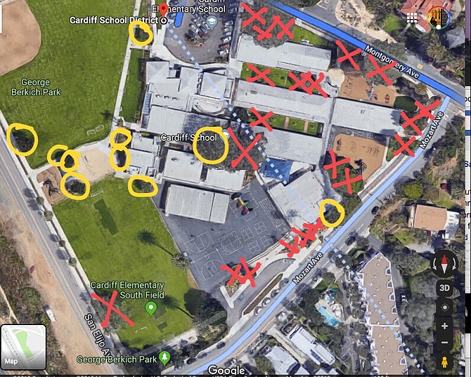 Tree travesty:  Red eX’s have already been cut down; yellow circles are planned