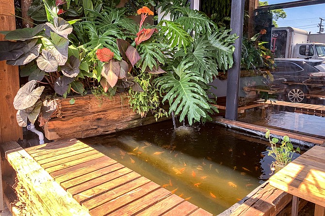 This Pacific Beach restaurant has a koi pond on its patio.