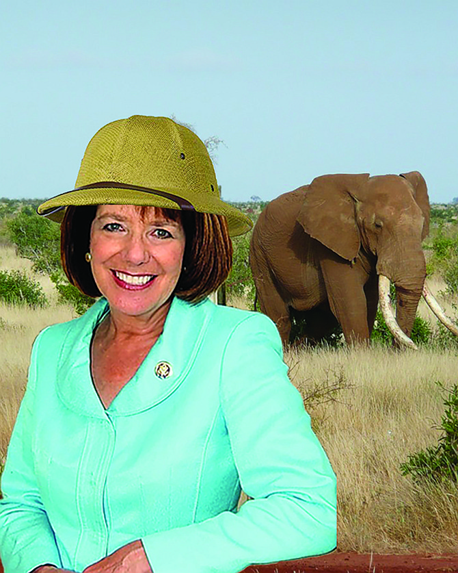 One last free-travel safari for soon-to-retire Congresswoman Susan Davis.