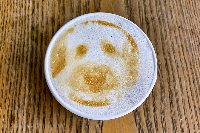 An iPhone dog photo printed on latte foam