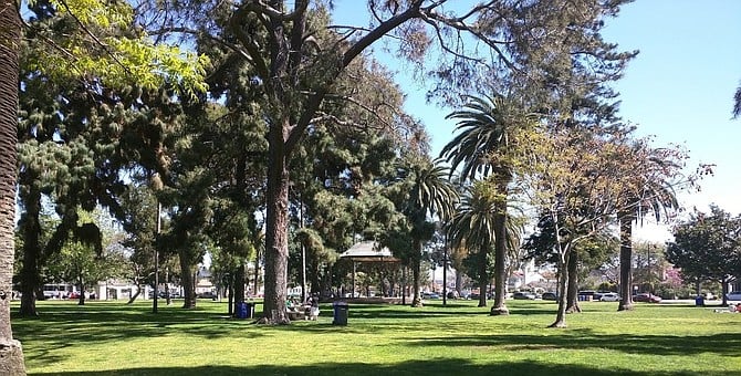 Spreckels Park, Coronado. Coronado has "an initial goal of planting 1,001 new trees by the end of 2024."