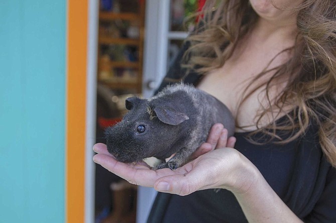Aguilera and Paulina share their tiny Mount Laguna home with Sabrina the Singing Skinny Pig and Noodles the Snake.