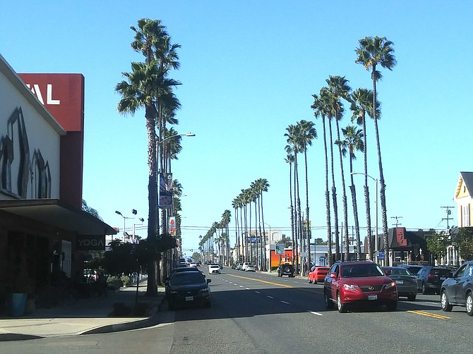 Those tall and skinny Mexican fan palms have been Oceanside’s iconic trademark.