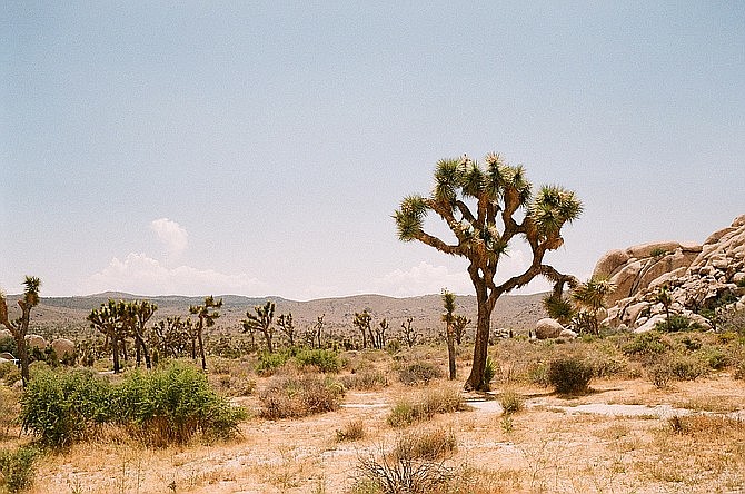 A view off the main highway in Joshua Tree, just a 2.5-hour drive northeast of San Diego.