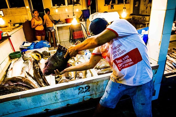 Just about everywhere you look in Porto da Ceasa there is a fish somewhere between river and dinner.