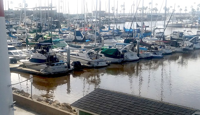 "The red tide wouldn’t have been so bad without that last seven inches in one week.”