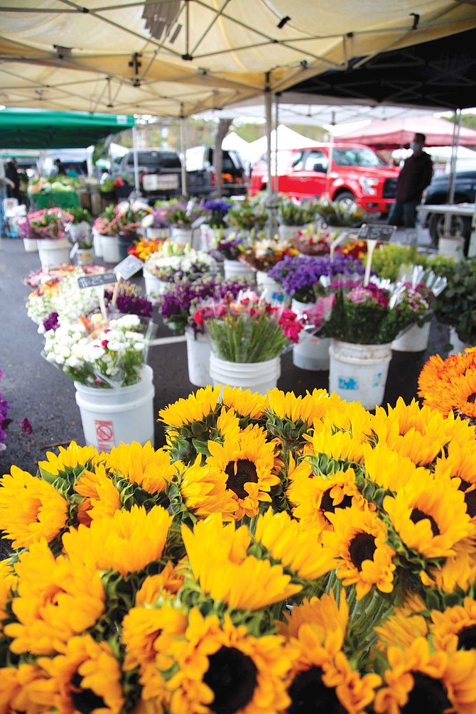 Hidalgo Flower stand has been in Vista since 1976. They sell at the Farmers Market on Saturdays in the parking lot of the Vista County Courthouse.