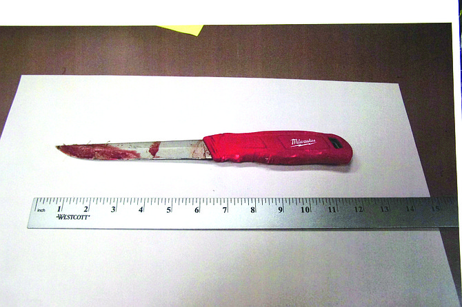 Bloody knife recovered by Carlsbad police in bushes at the edge of the parking lot.