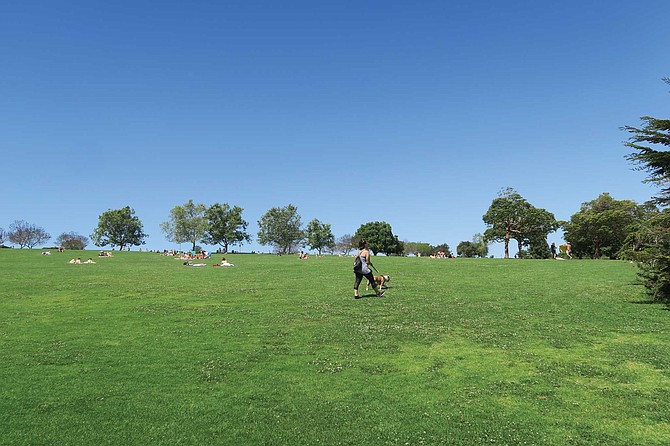 Kate O. Sessions Memorial Park is nestled on the foothills of Mount Soledad, where La Jolla meets Pacific Beach, and affords visitors sweeping views of Mission Bay from the rolling green hillside.