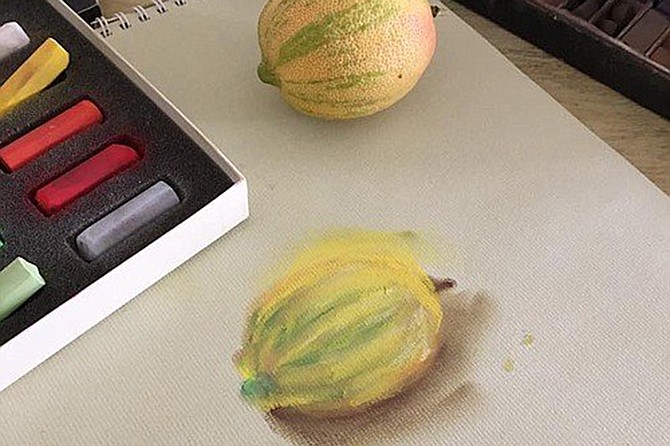 Produce one still-life and one landscape drawing in this online drawing class.