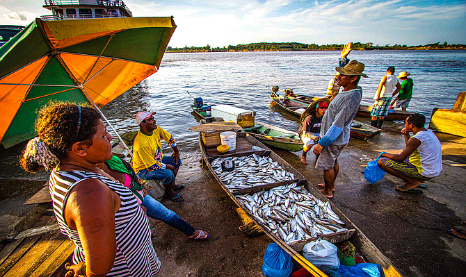 Fish for sale on the riverbank near Brazil's Meeting of Waters.
