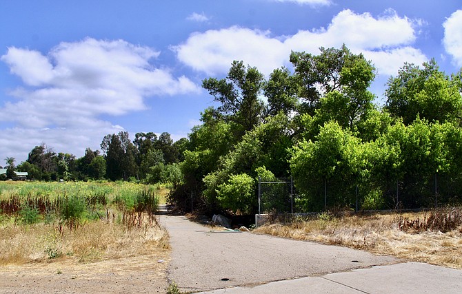 "The Jungle" off Mission Road