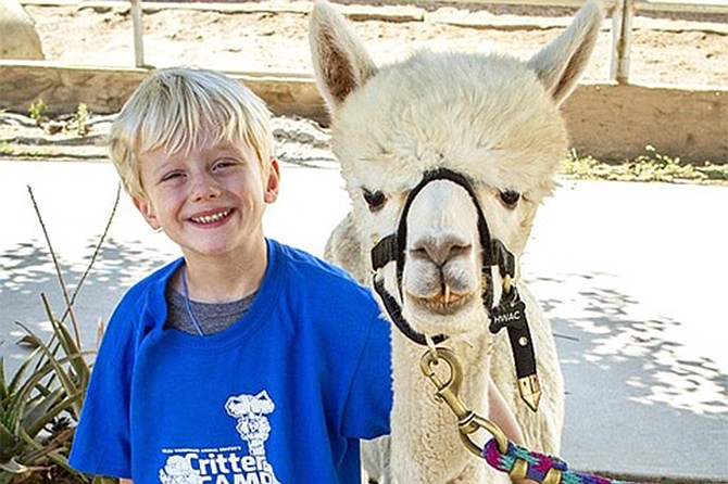 Children will experience amazing animal interactions and summer camp activities, including animal-themed games, crafts, songs and more!