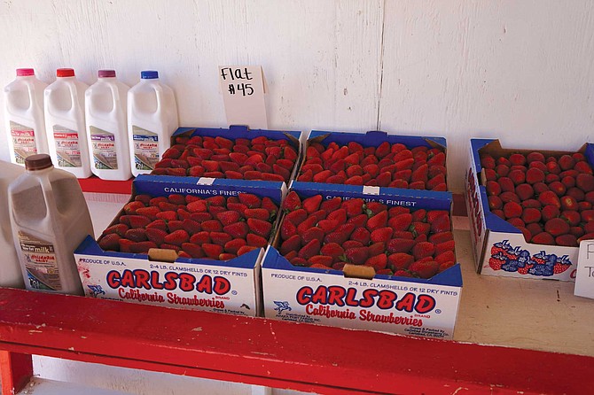 The Ukegawas used to sell strawberries to supermarkets all over the country, but they were ultimately priced out by inexpensive produce from Mexico. “There’s no way we could compete, when south of the border they can produce strawberries way cheaper than we can,” he says.