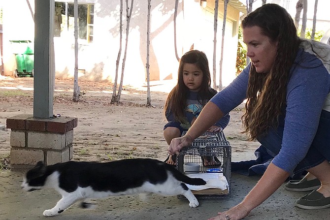Family releasing a feral