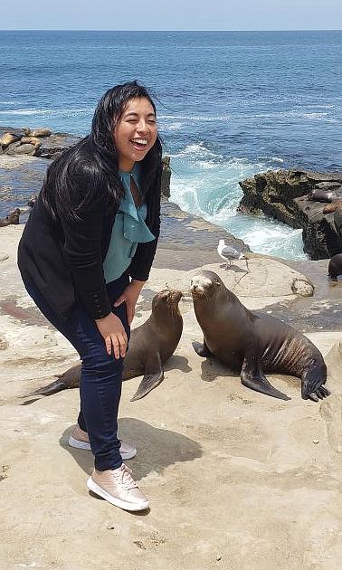 "There were people all over the sand literally chasing the mother sea lions and their pups."