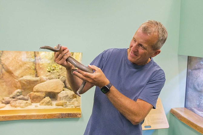 After years spent watching San Diego Natural History Museum visitors, Brad Hollingsworth calls crawly creatures the “unlovables. A herpetologist deals with people’s negative perceptions of a venomous snake, a scaly lizard, a slimy frog. ‘Oh, they’re so prehistoric,’” like that’s a bad thing.
