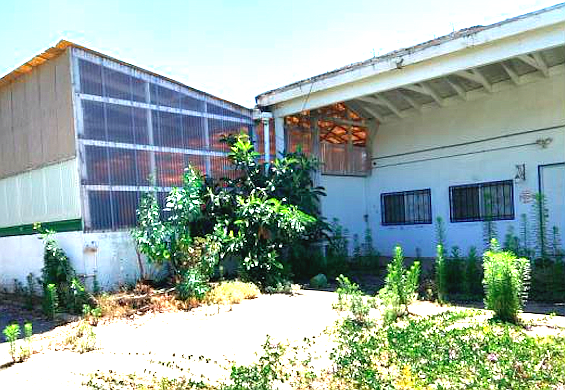 Packing house to be demolished. Under the soil are the highly toxic leftovers from 84 years of flower farming.