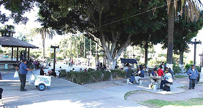 While chess players are locked down in San Diego, they can play at Teniente Guerrero park [six blocks west of Avenida Revolucion].