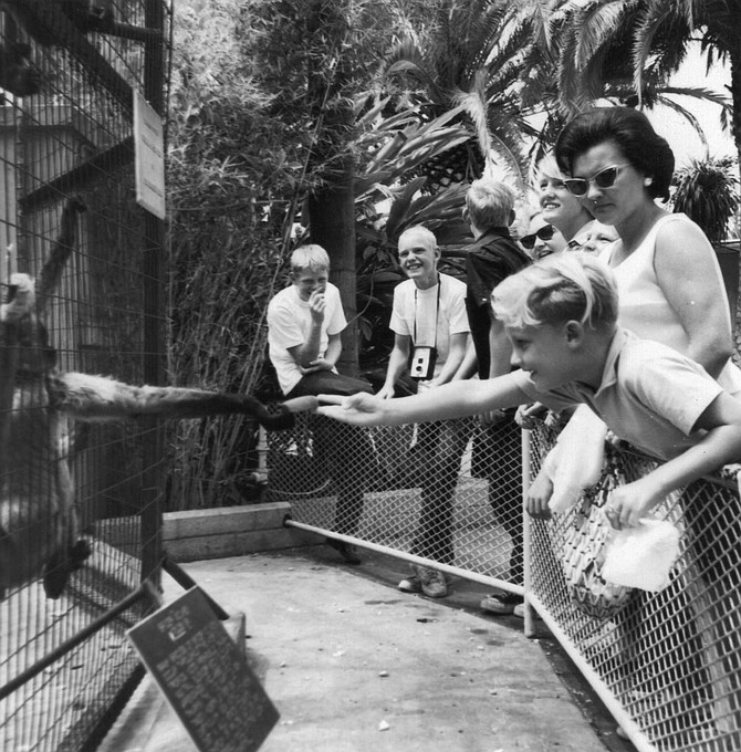 The Monkey Yard was one of my favorites. Monkeys were housed in 36 cages, arranged in clusters like small city walks to the right of the main promenade.