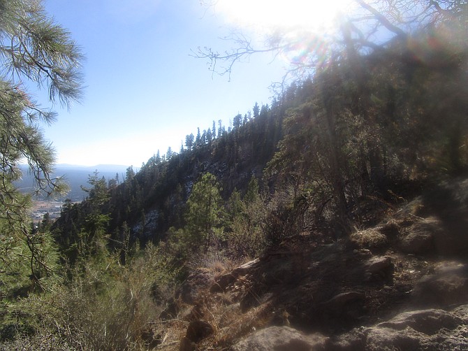 View from the climb up Mount Elden--Flagstaff, Arizona.