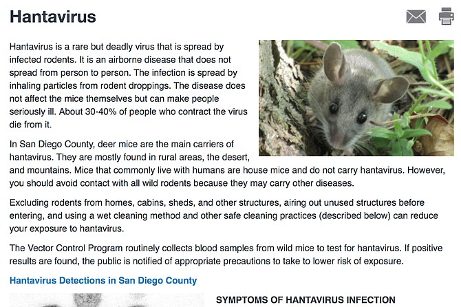 A growing number of wild mice in San Diego’s backcountry are carrying hantavirus.