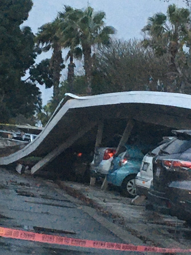 Carport toppled by tree smashes cars in Ocean Beach.