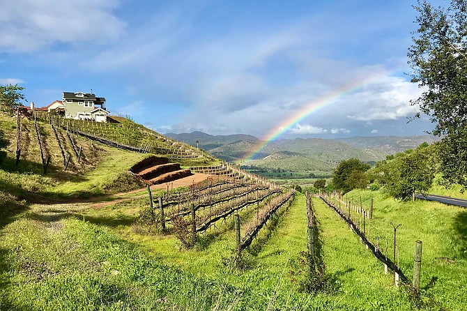 A rainbow breaks over Highland Valley Vineyards in Escondido.