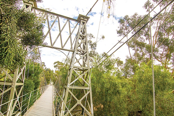Spruce Street suspension footbridge