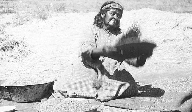 Estevan Wypooke cleaning wheat, 1908. In 1900, at Mesa Grande, Manzanita, Campo, and other Kumeyaay reservations, the old, infirm, and indigent were near starvation.