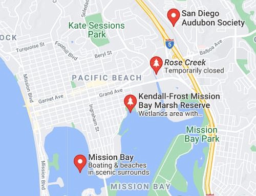 "Rose Creek has been piecemealed out of the city's planning around Mission Bay."