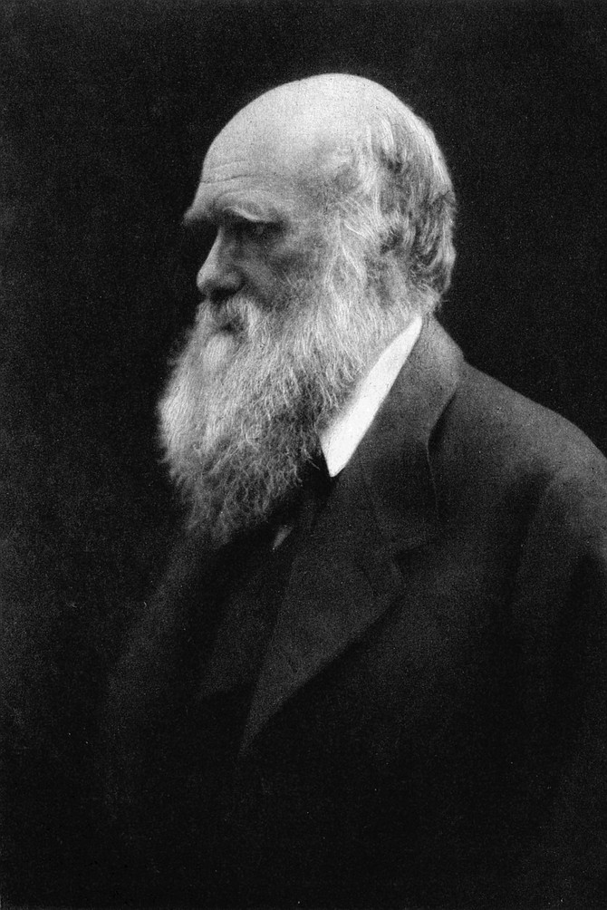 The great man - Charles Darwin. It started with three mocking birds.