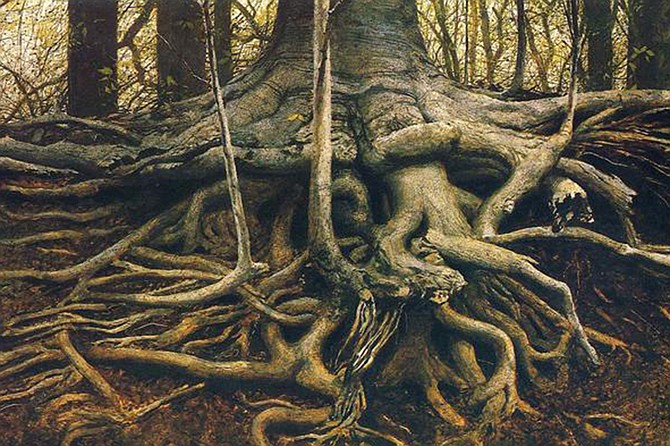 Jamie Wyeth “Roots”
