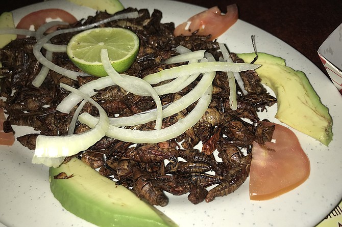 Roasted grasshoppers. Delicacy from Oaxaca packs big calorie punch.