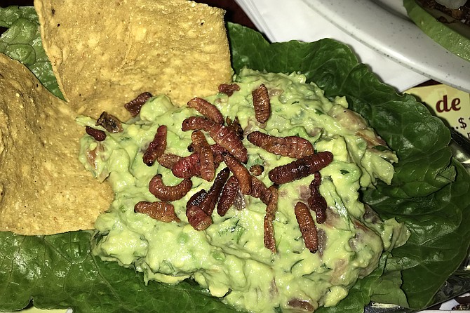 “Waiter, there’s a worm in my guacamole. Several!” But the combo is a taste treat.