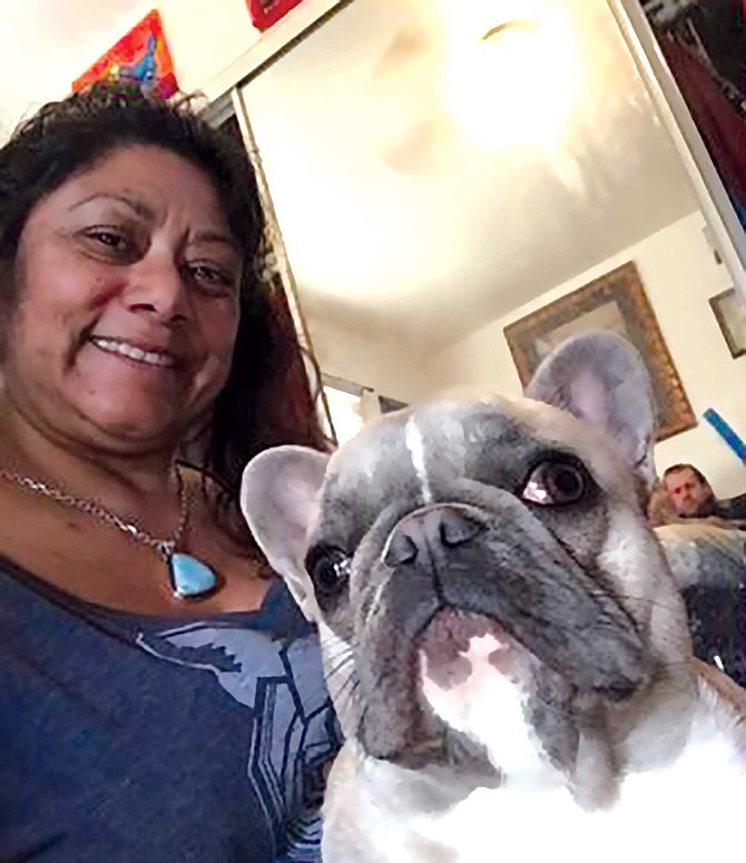 In June, a “homeless guy” stole Betty Boop, a tan-colored French Bulldog, from Cindy LaValle’s home.