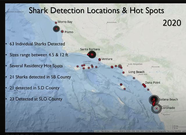 In 2015, it was Long Beach. In 2017, Dana Point. Tagging in 2019-2020 revealed a big uptick in Santa Barbara and San Diego.