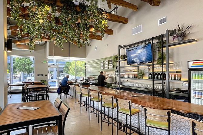 Inside Burgeon at the Arbor, plants hang from the rafters.