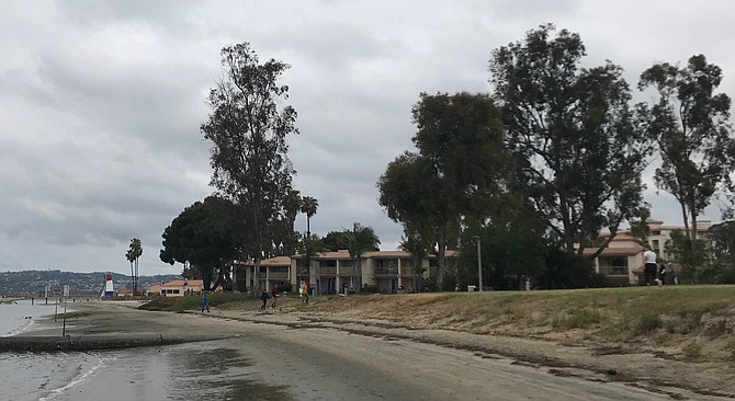 The osprey was caught in a eucalyptus tree south of the San Diego Mission Bay Resort.