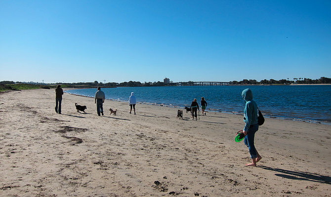 Most of Fiesta Island is now an off leash dog park.