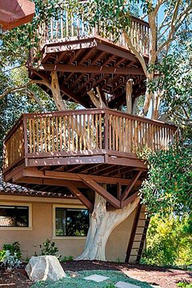 Treehouse
