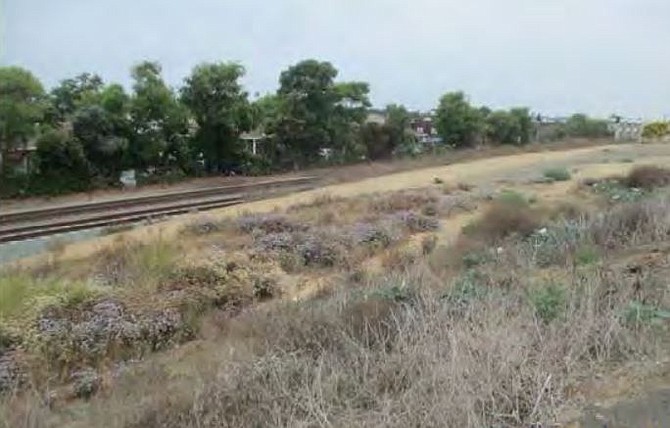 Disturbed habitat near F and G streets