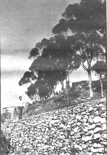 David Beck Brown near the Mt. Helix wall: 'The rock work is one of the few indigenous art forms we have in San Diego County."