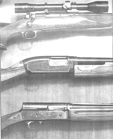 Shotguns are usually sized by gauges; 12-, 16-, and 20-gauge are the most popular.