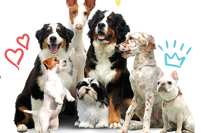Meet, pet, and learn about over 100 different dog breeds and watch dog demonstrations that showcase the best in the sport and the jobs that dogs were bred and trained to do.
